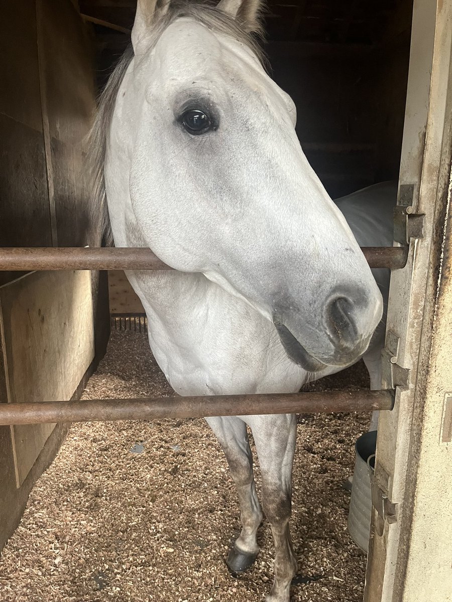 としまる tweet media