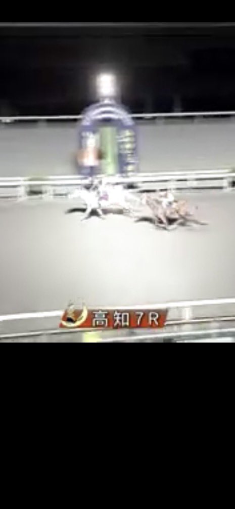 としまる tweet media