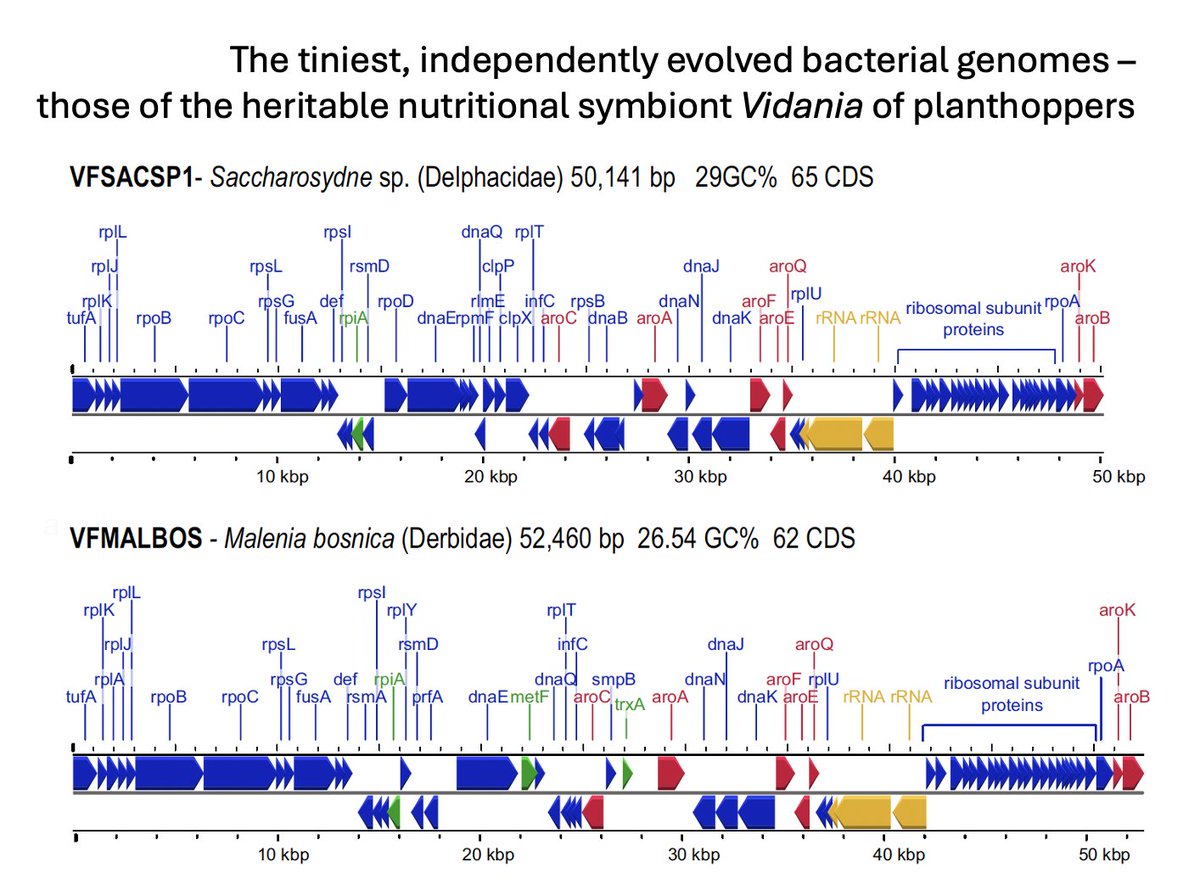 Piotr Łukasik tweet media