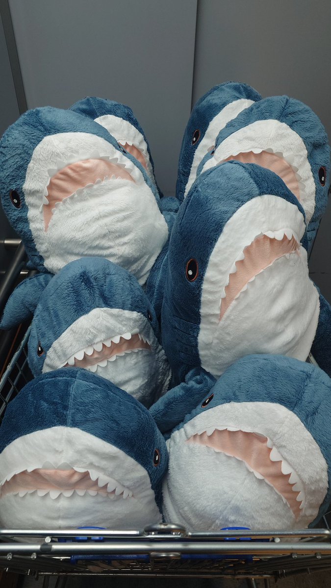 ここに来た本来の目的を果たすか… 店内で注目の的でしたわwww