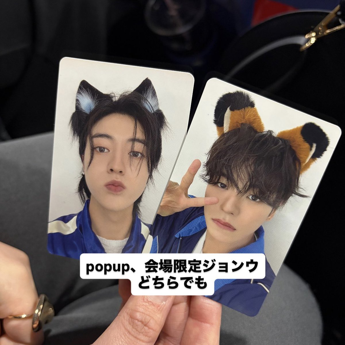 つらら🐑 tweet media