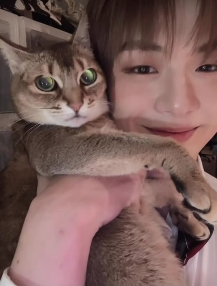 selfolssi ♤ tweet media