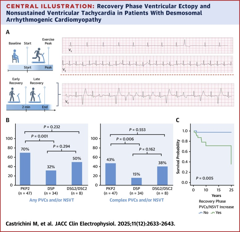 Diagnostic and Prognostic Significance of Exercise Stress Testing in Desmosomal Arrhythmogenic Cardiomyopathy
sciencedirect.com/science/articl…
#Exercisetest #ACM #Sportscardiology