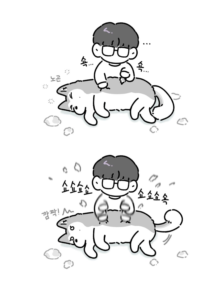 밍구개랑 전주인
털갈이시즌