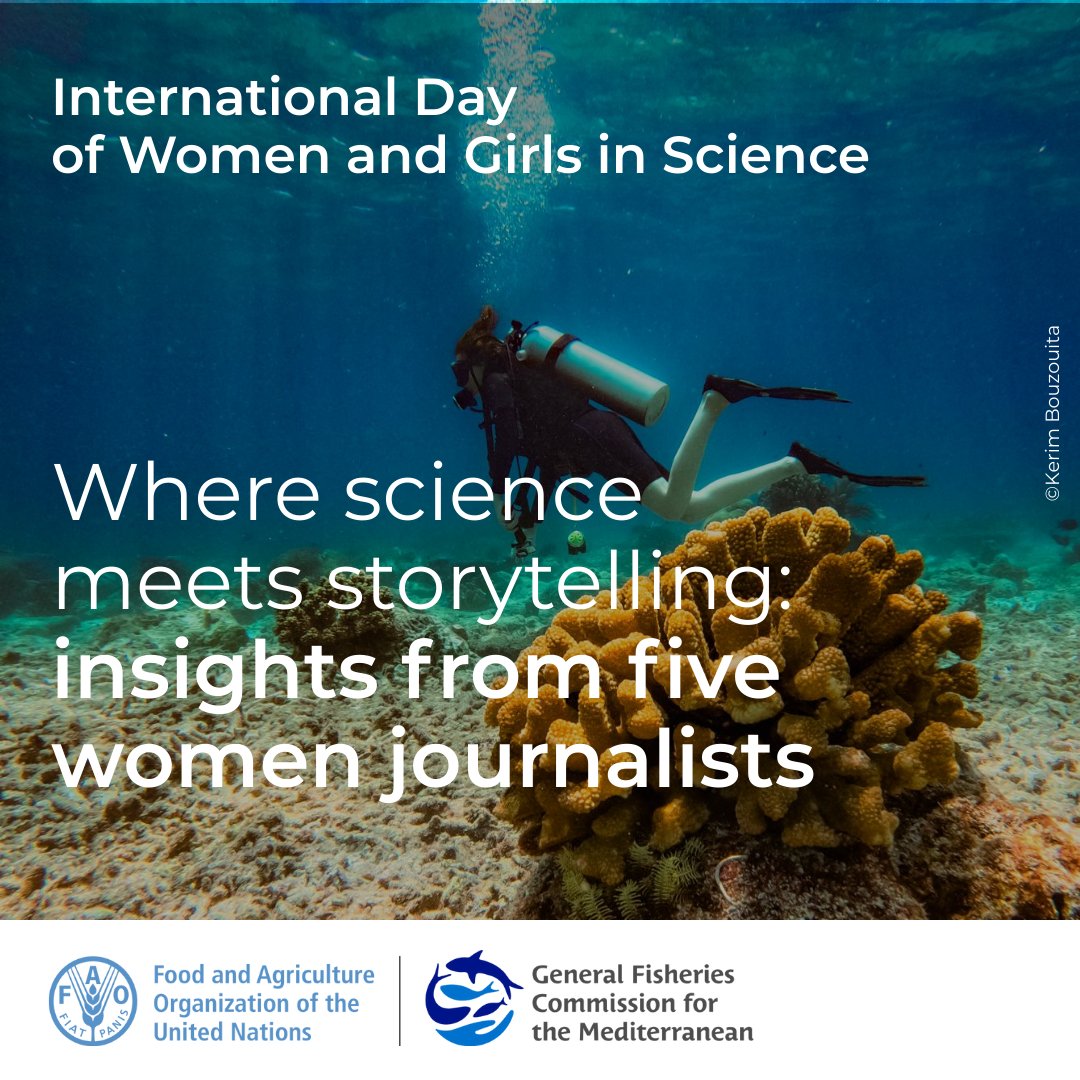 General Fisheries Commission for the Mediterranean tweet media