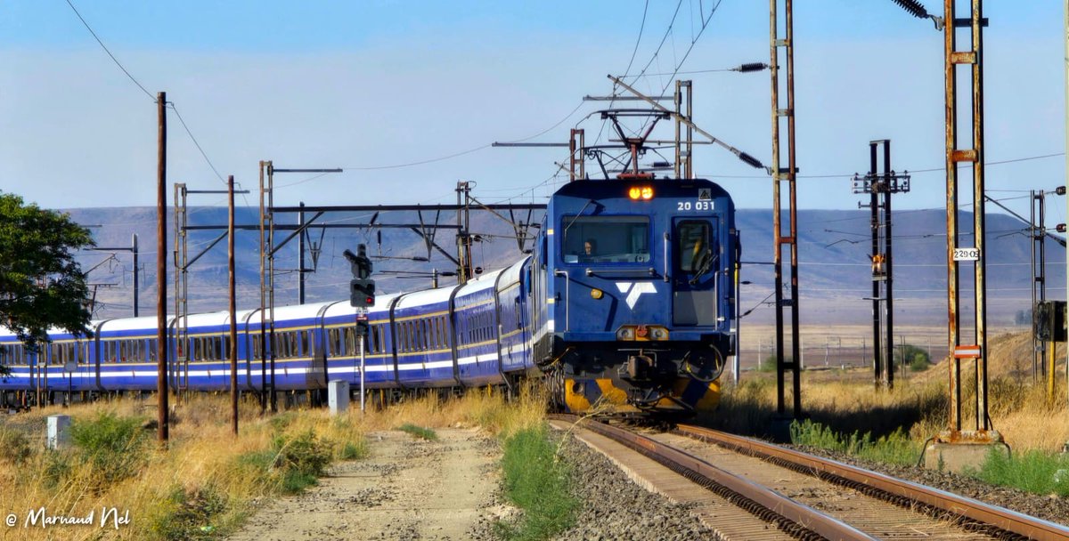 The Blue Train tweet media