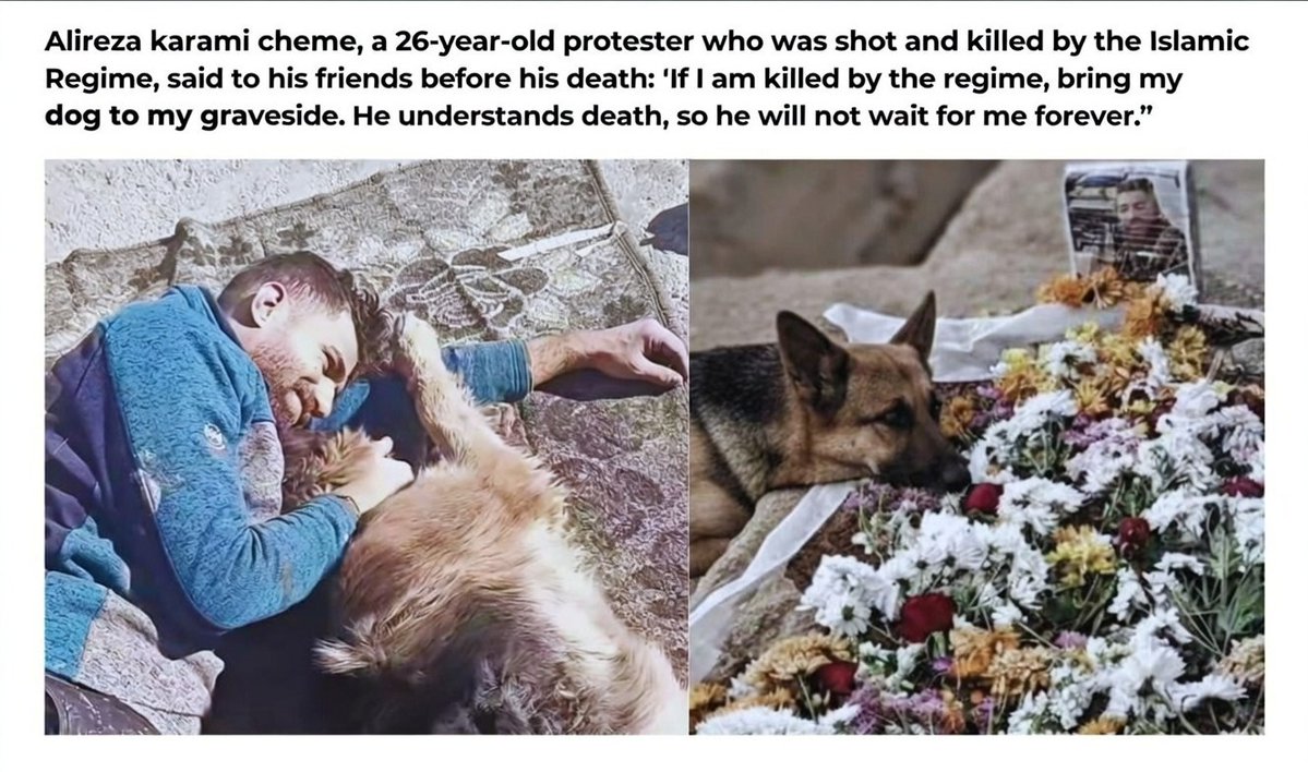 میشه یکیتون لطف کنه و این عکس رو هم ببره تجمع ۱۴فوریه؟
برای دوستان و خانواده اش و همینطور تاثیرگذار بودنش برا خارجیا...