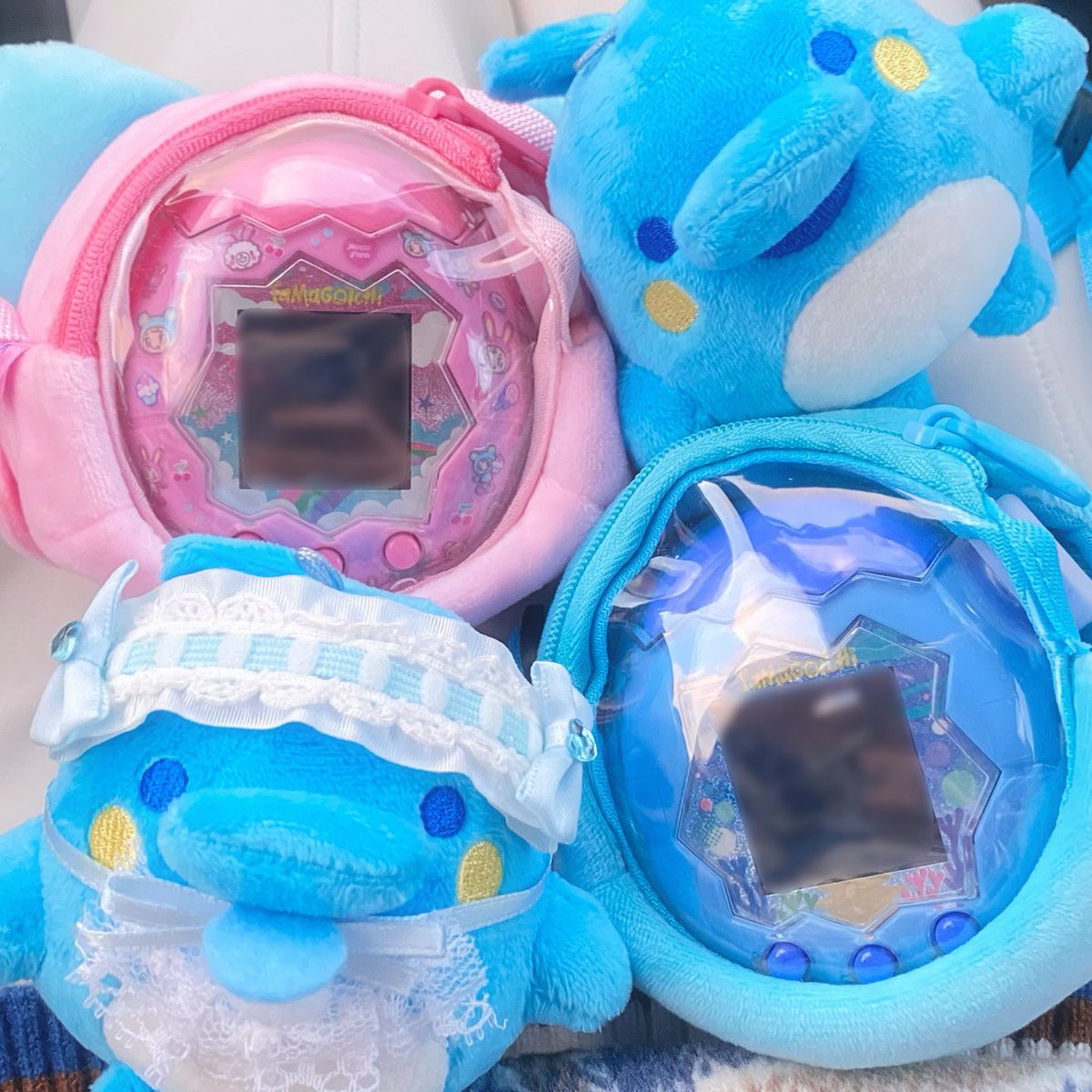 いるかっち🐬💛🩵