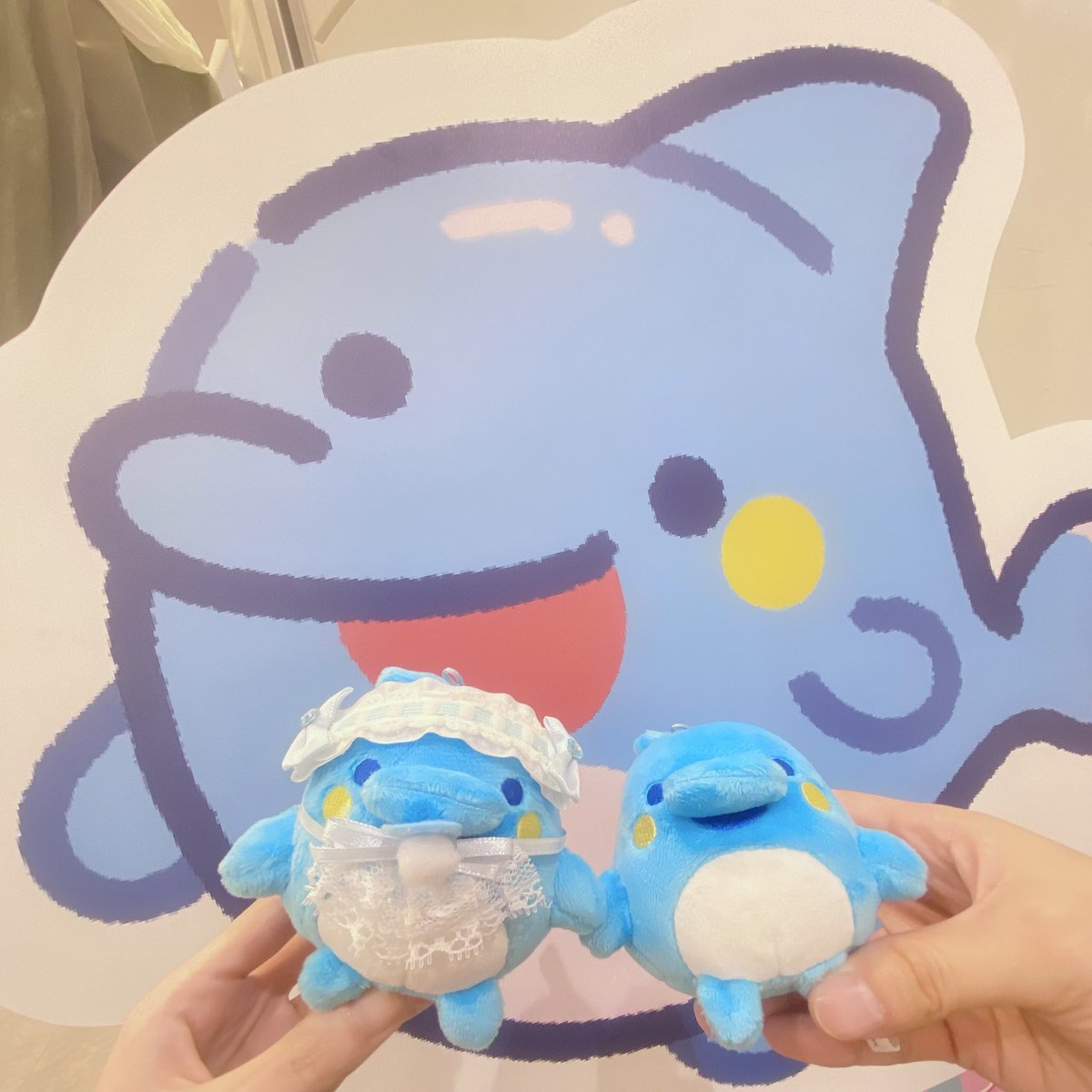 いるかっち🐬💛🩵