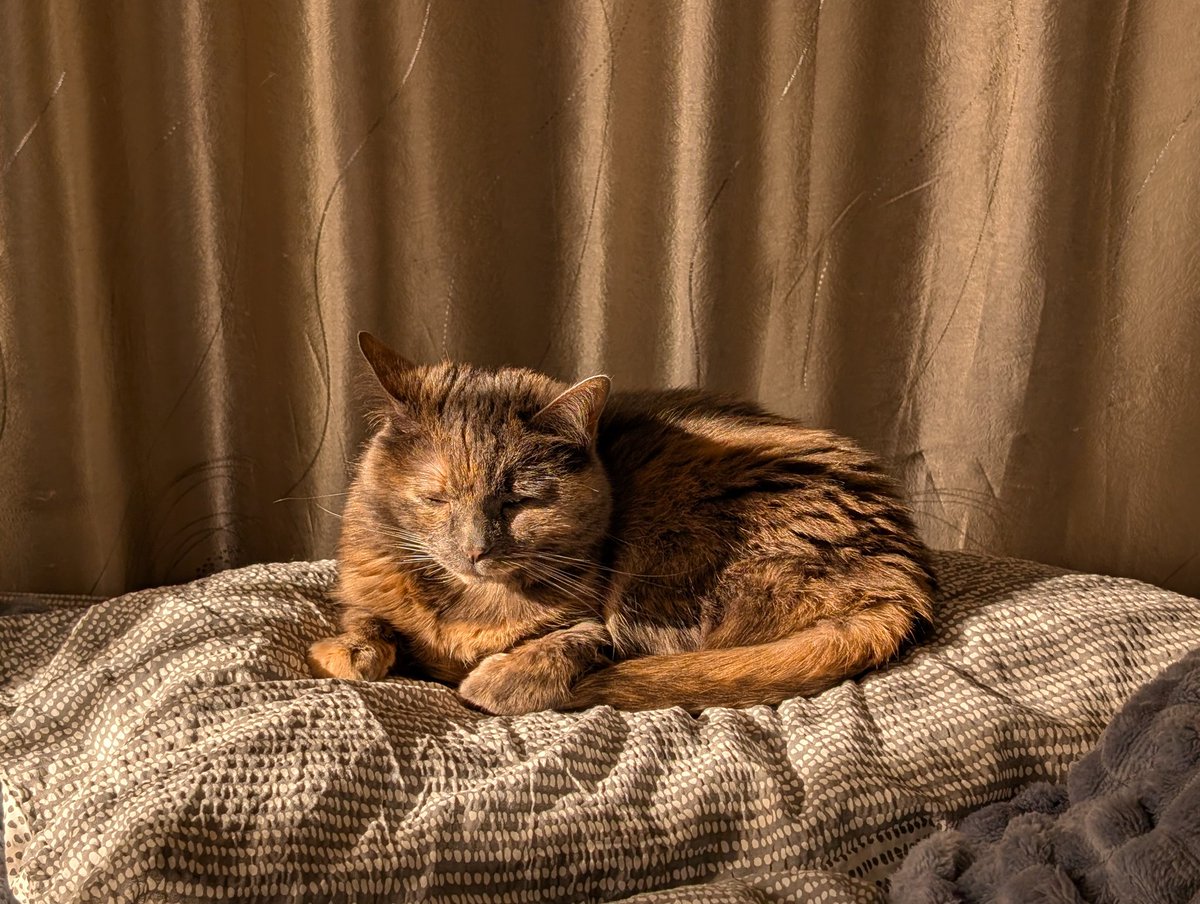 Чуть-чуть прикайфувала від ваших донатів. 
Може ще більше, але треба більше грошів на машинку: send.monobank.ua/jar/5SUxNDYdUk