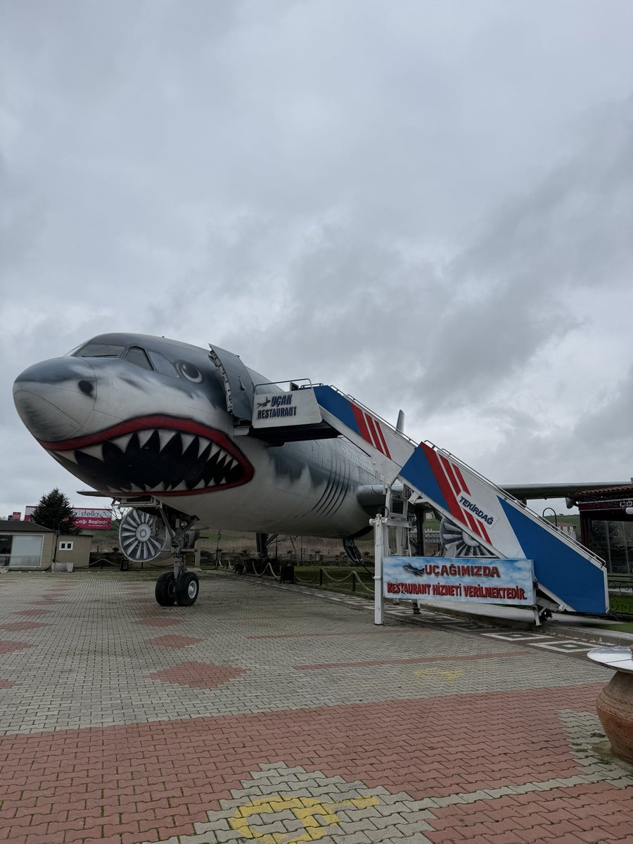 Tabi fotoğraftaki gibi küçük değil. Kocaman bir uçak. Peki buraya nasıl getirildi?