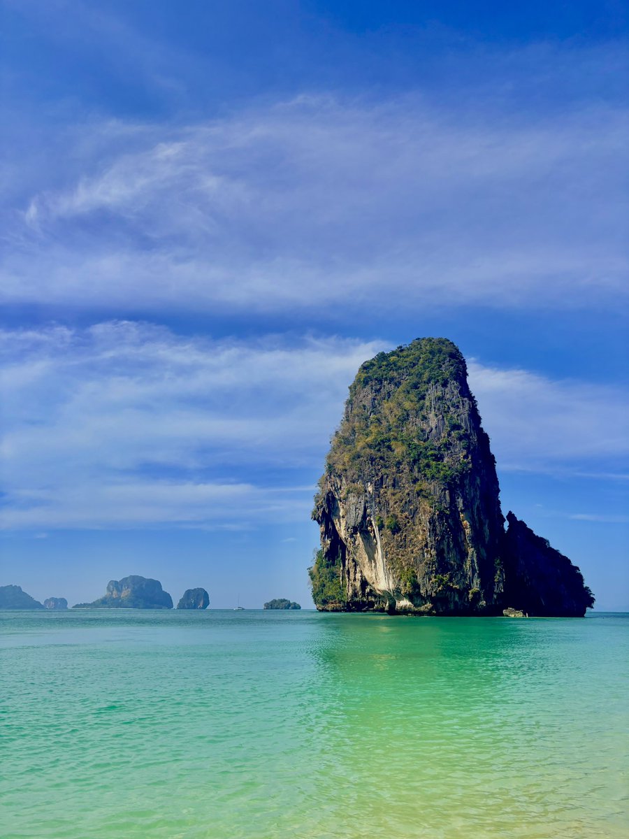 CryptoFerret tweet media