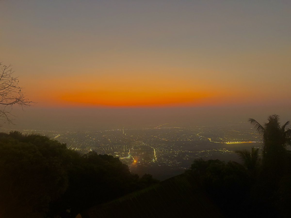 CryptoFerret tweet media