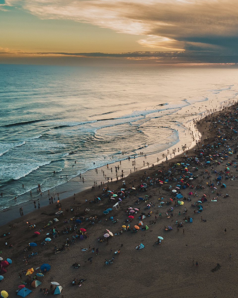 Necochea tweet media