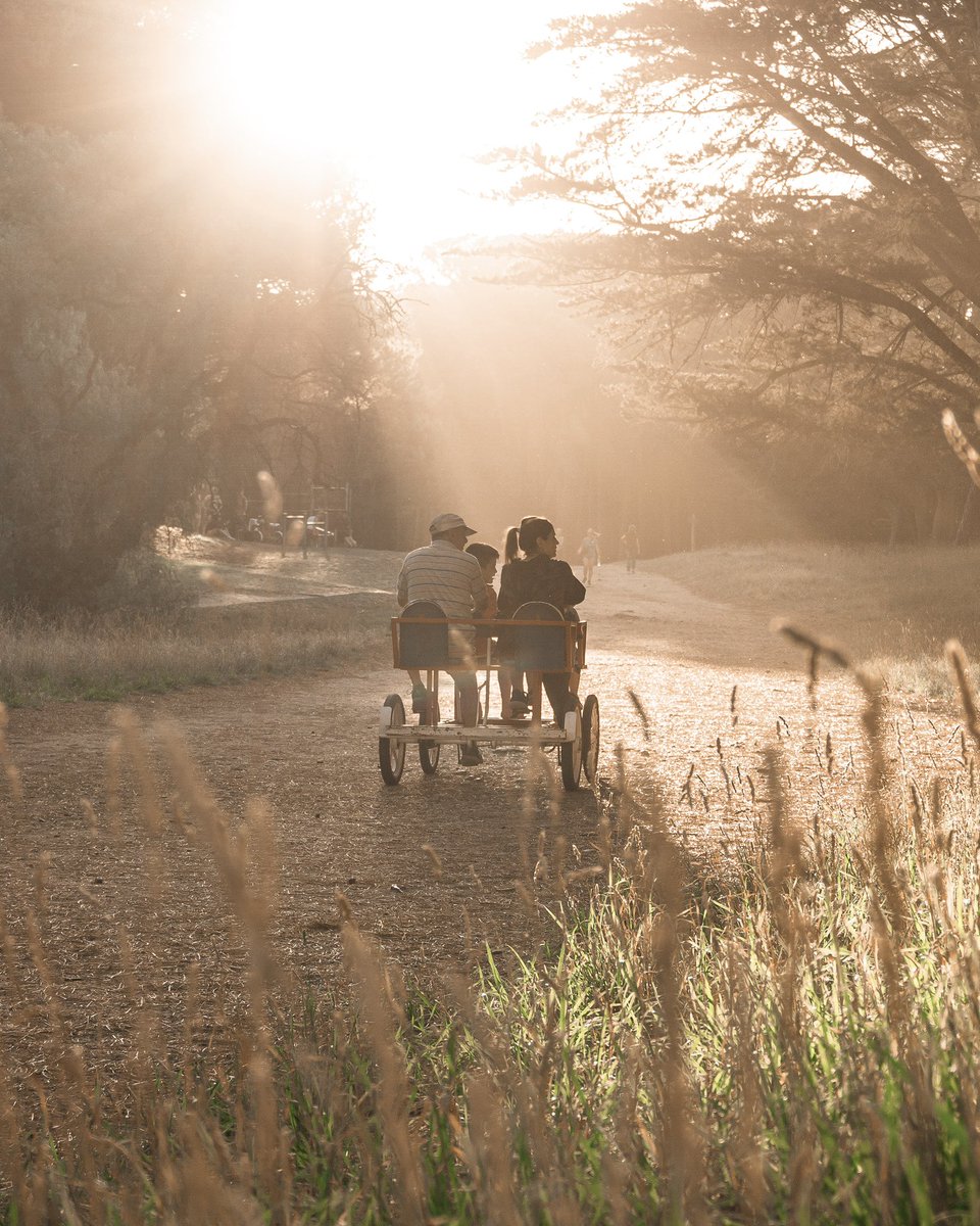 Necochea tweet media