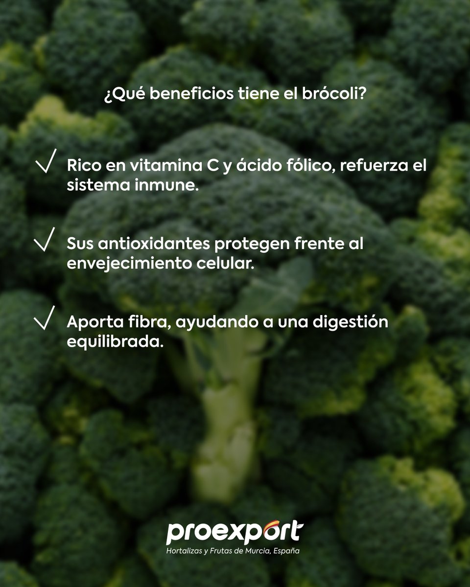 El brócoli es mucho más que una hortaliza, es un superalimento que aporta una gran variedad de beneficios para tu salud. 🌱 

Su alto contenido en vitaminas, minerales y antioxidantes lo convierte en un aliado perfecto dentro de la dieta mediterránea.