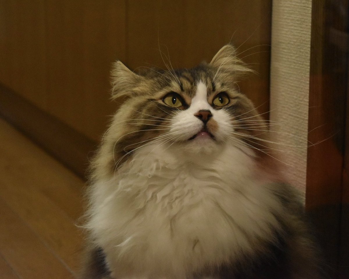 くろせゆな tweet media