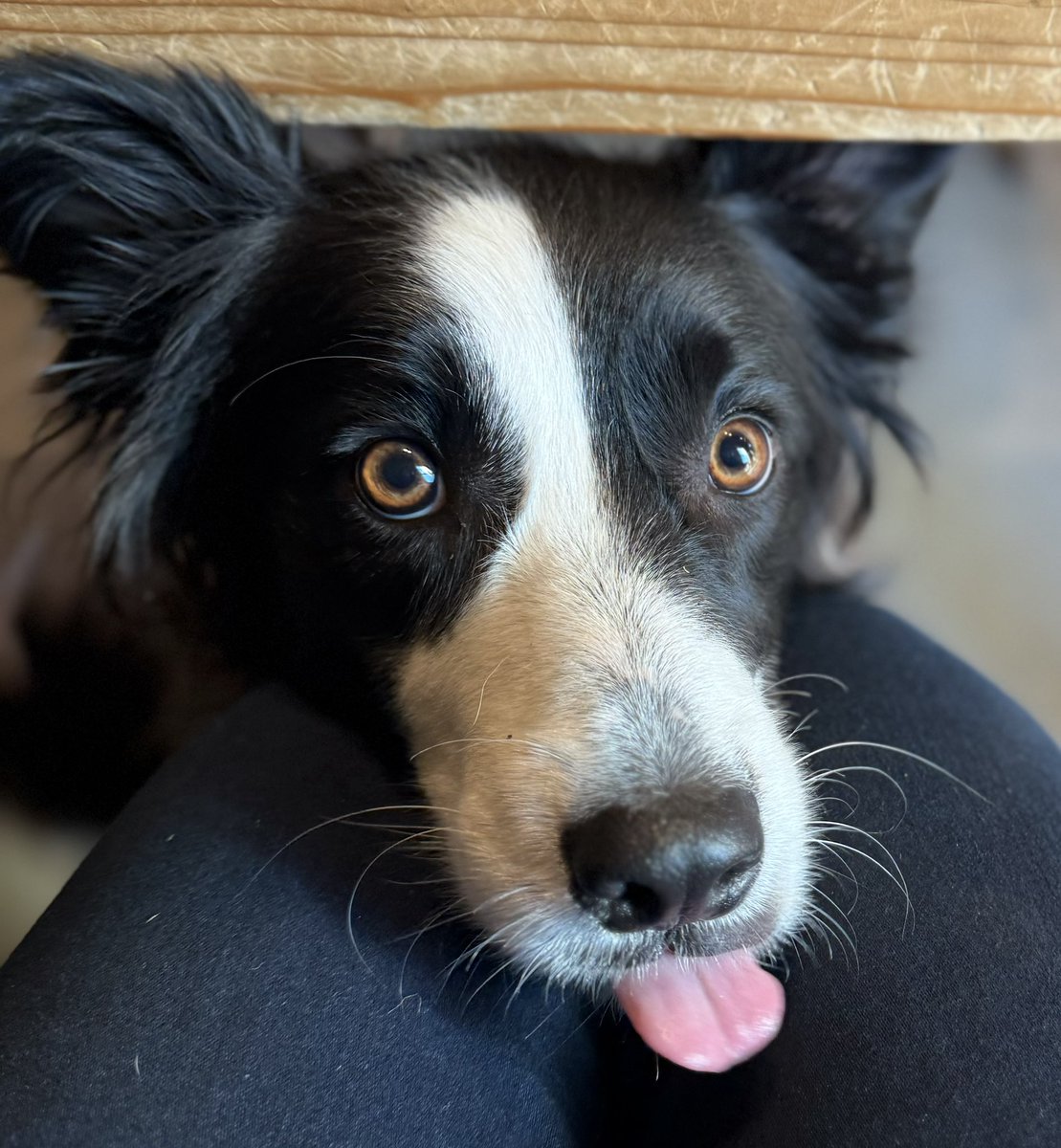 あめちゃん🍭 tweet media