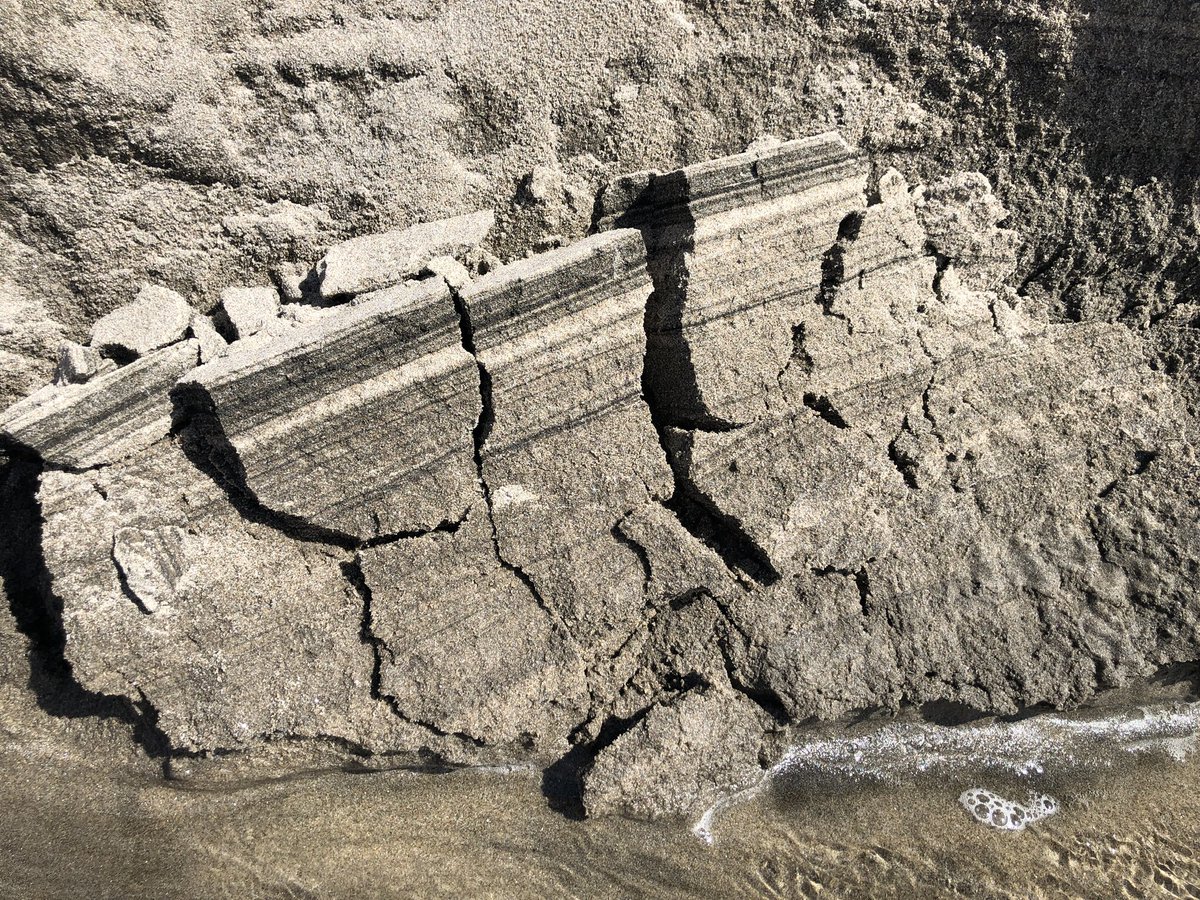 【告知】
散策者の岩下拓海さん主催で、humunusのWS『声の織りなしと布置』を開催いたします。

◎日時
2/21(土)13:00~18:30
2/22(日)13:00~18:30
各日程内容は同じです。

◎定員
各回8名程度

◎会場
横浜・若葉町ウォーフ　2階稽古場

◎参加費
2000円（当日精算）

予約
docs.google.com/forms/d/e/1FAI…