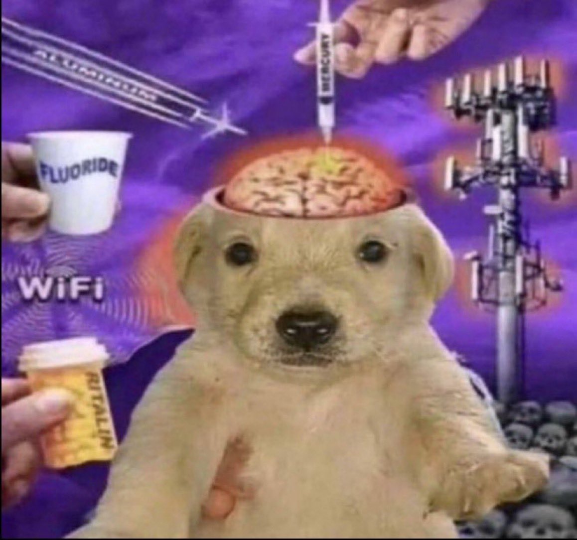 woke up and my first thought of the day was mulder and scully