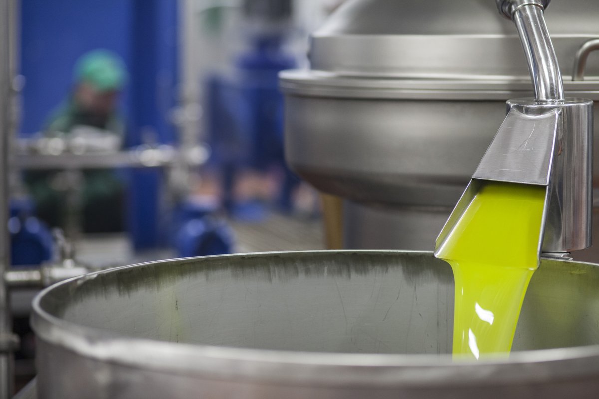 FAOstatistics's tweet photo. We've got delicious😋#StatsTrivia for you today - olive oil🫒!

According to #FAOSTAT, 2023 🌍🫒oil production = 2.6 million tons, with 63% of production in Europe

Top 🔟🫒oil producers:

1⃣ Spain 🇪🇸 (854K!)
2⃣ Italy🇮🇹
3⃣ Turkiye🇹🇷
4⃣ Greece🇬🇷
5⃣ Tunisia🇹🇳
6⃣🇵🇹7⃣🇲🇦8⃣🇸🇾9⃣🇩🇿🔟🇪🇬 https://t.co/Aj44BYhsxq
