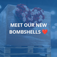 Workplace Products tweet media