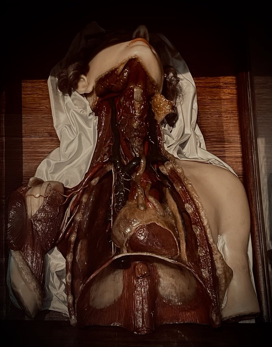 NurseTorture's tweet photo. Anatomical wax model https://t.co/wAr4LUHzFi