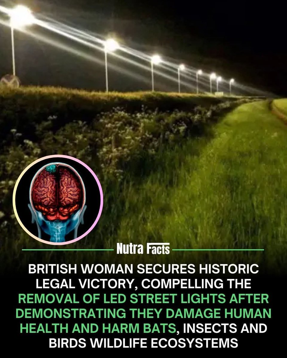 A British woman has won a landmark court case that is drawing global attention to the unintended consequences of LED street lighting. By presenting scientific and environmental evidence, she successfully demonstrated that certain LED street lamps were negatively affecting human