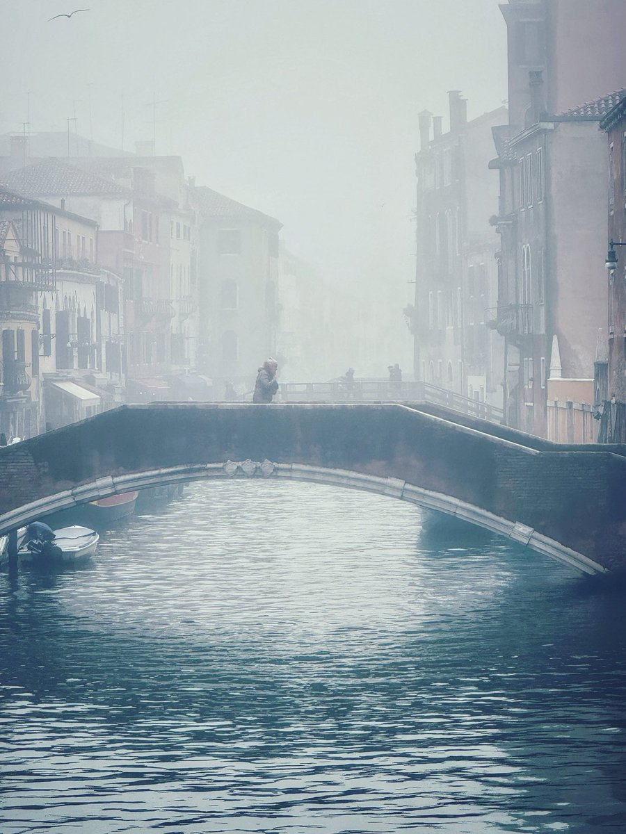 antichitaghetto's tweet photo. The grey hush and the lingering mist refuse to release us, yet Venice remains wondrous and true ✨
📍Ponte degli Ormesini
#venice #venezia #mist #caigo #nebbia https://t.co/VXGdxqors8