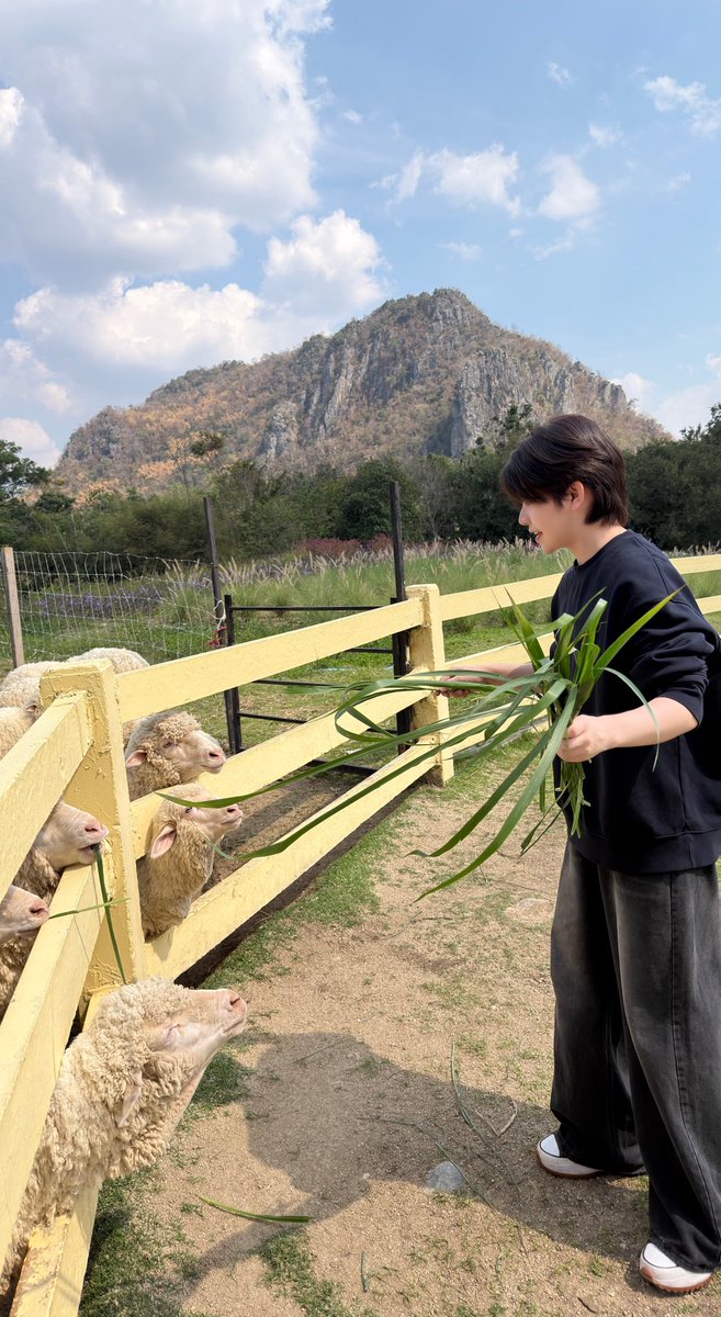 BUGDanuphop's tweet photo. 🐑⛰️#BUGDanuphop https://t.co/SYfMfZ9bnB