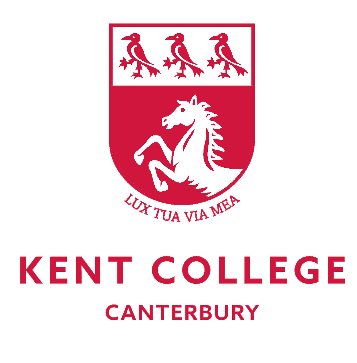 Peter Milne tweet media