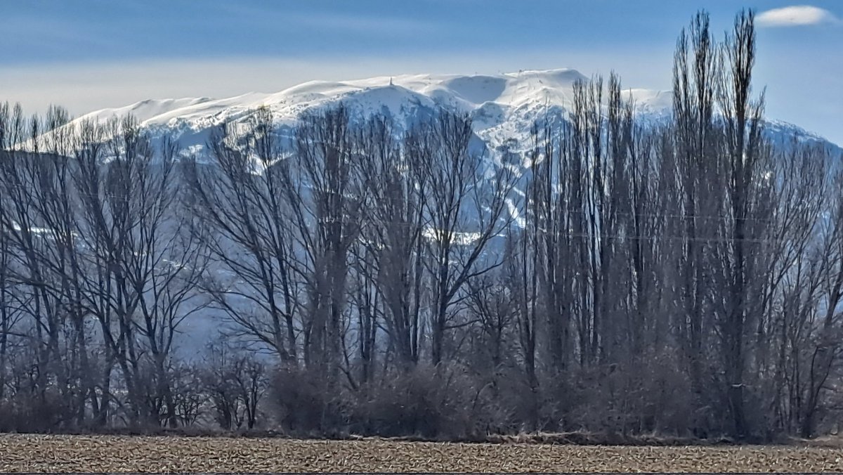 joanbesson's tweet photo. Com totes les estacions del #Pirineu, feia anys que les de #LaMolina i #Masella no disposaven de la neu extraordinària  d'aquesta temporada.
En la imatge, la Tosa d'Alp aquest migdia des del camí de #Rigolisa, a #Puigcerdà.
#Cerdanya❤️

@P4Estacions
@MeteoBarrufet 
@meteocadi https://t.co/Tit7icHhPm