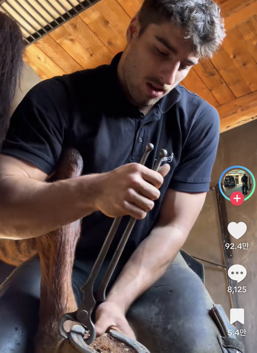 moodukie's tweet image. 