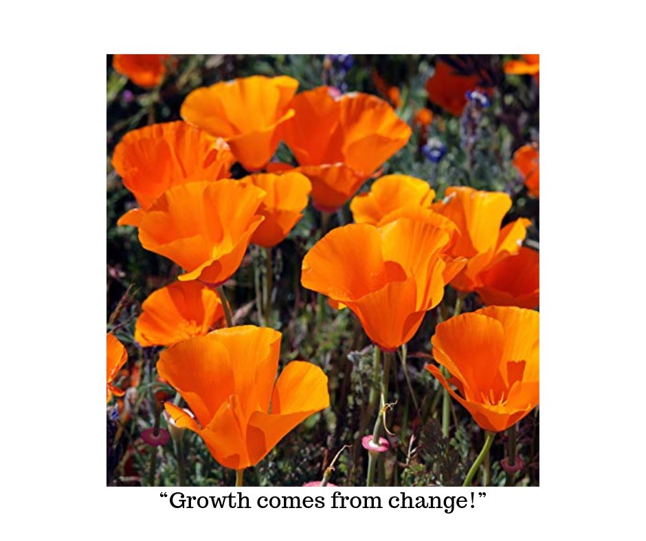 Ray for the day ~ “Growth comes from change!"