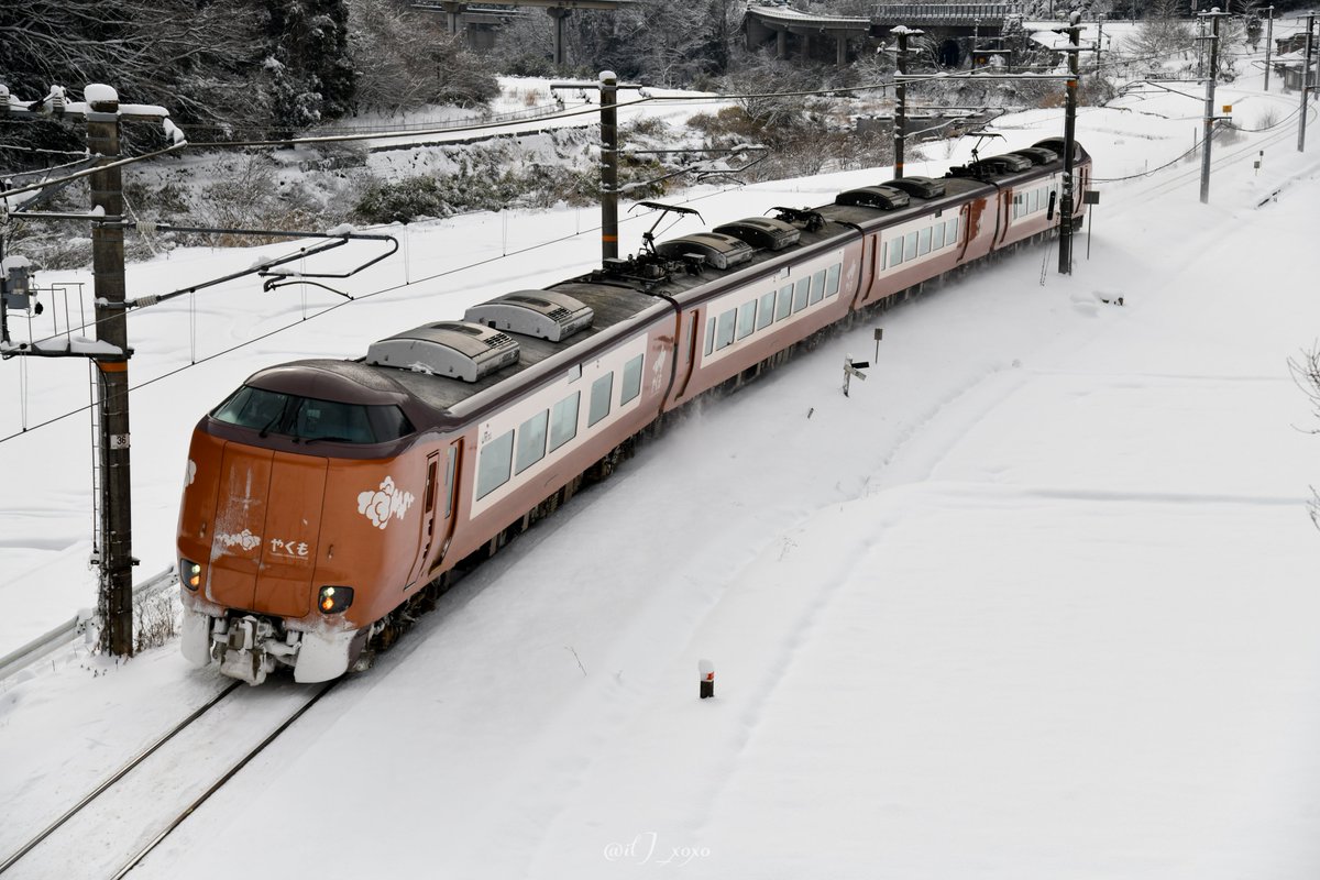 2026/2/9 273系やくも
大雪の次の日のどんぐりちゃん