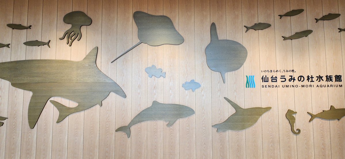 仙台うみの杜水族館の記念メダルです☺ ビーバー可愛すぎ👼 #記念