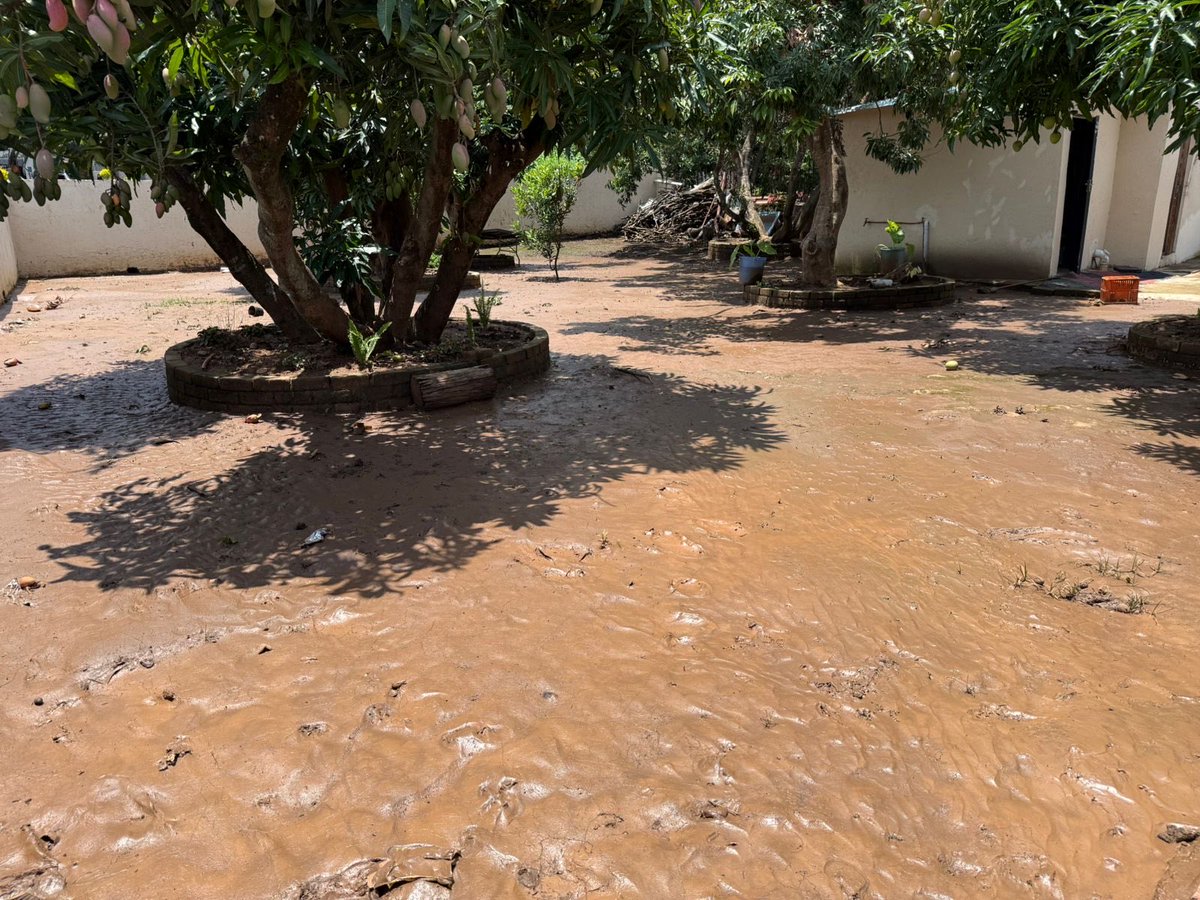 Uncle Junior tweet media