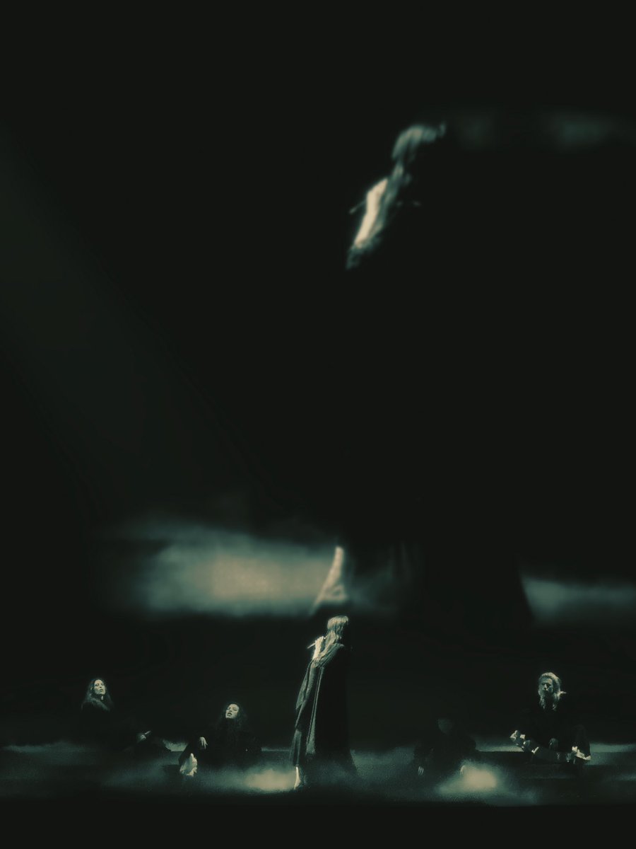 ella ✨🪉 tweet media