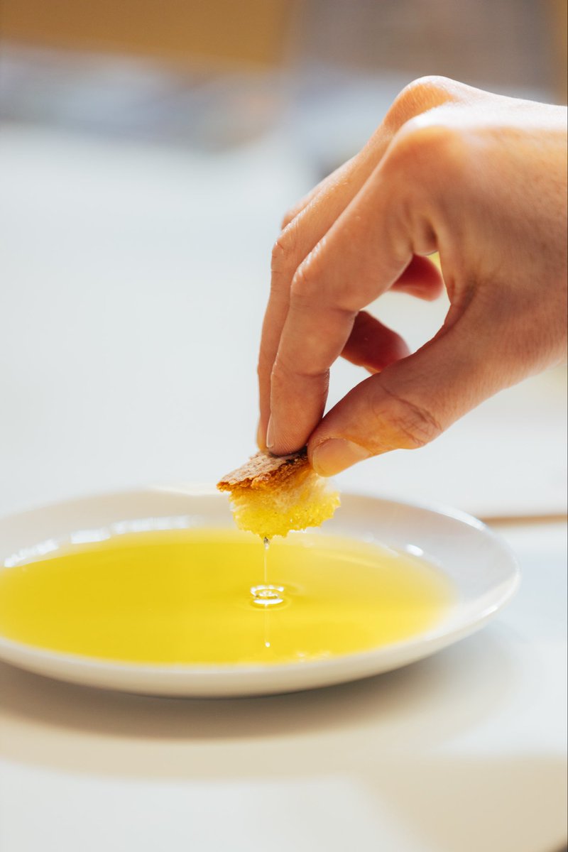 Fòrum Gastronòmic Girona tweet media