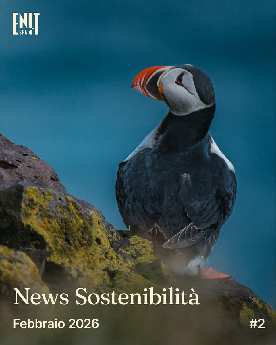 ENIT_italia's tweet image. #Italia che sorprende, #Giappone che incanta, #Galles che ispira: tre luoghi, una storia. La natura come eredità viva. Dalle “terre di ghiaccio” vicino Roma allo #Shimaenaga della gentilezza, fino a ##Skomer dove tutela e accoglienza si fondono.
👉enit.it/it/news-sosten…
#ENITspa