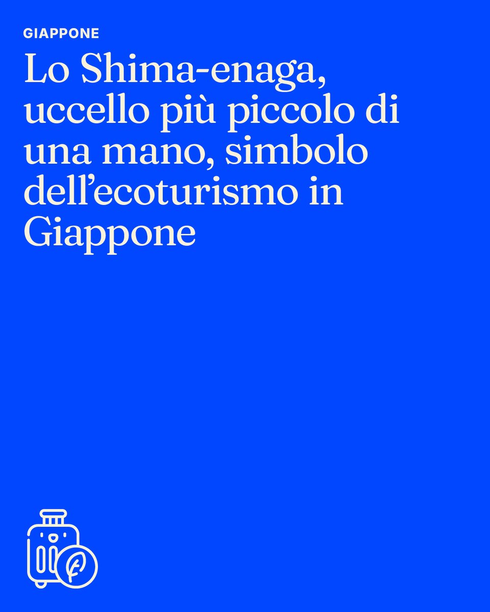 ENIT_italia's tweet image. #Italia che sorprende, #Giappone che incanta, #Galles che ispira: tre luoghi, una storia. La natura come eredità viva. Dalle “terre di ghiaccio” vicino Roma allo #Shimaenaga della gentilezza, fino a ##Skomer dove tutela e accoglienza si fondono.
👉enit.it/it/news-sosten…
#ENITspa