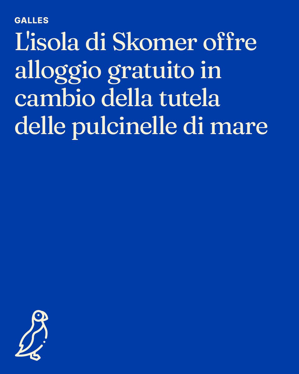 ENIT_italia's tweet image. #Italia che sorprende, #Giappone che incanta, #Galles che ispira: tre luoghi, una storia. La natura come eredità viva. Dalle “terre di ghiaccio” vicino Roma allo #Shimaenaga della gentilezza, fino a ##Skomer dove tutela e accoglienza si fondono.
👉enit.it/it/news-sosten…
#ENITspa