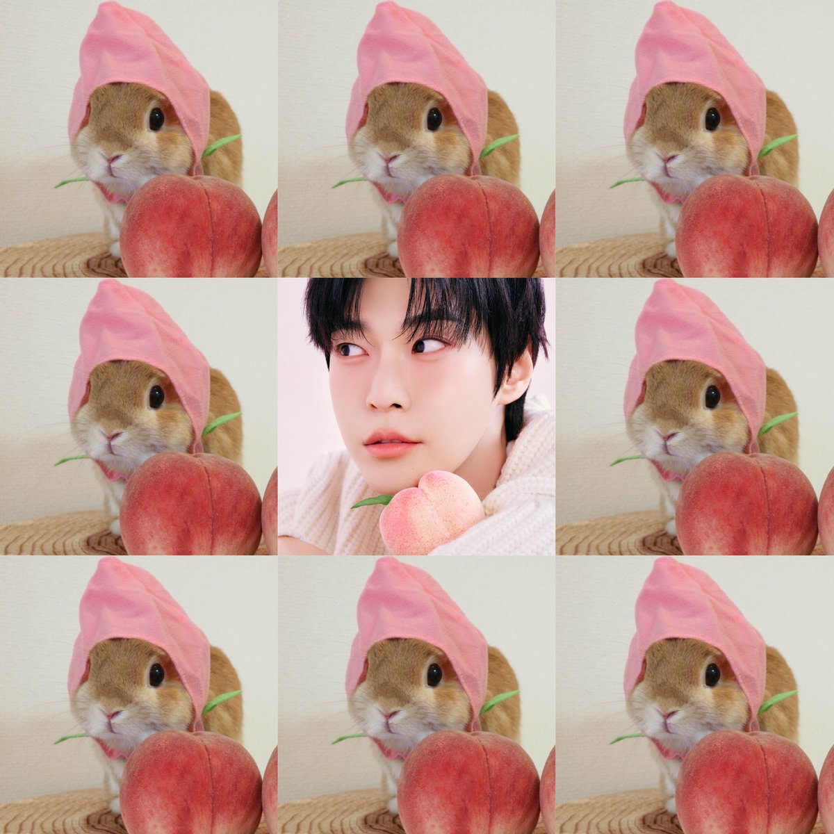 도영 D-481

🍑🍑🍑🍑

#도영 #DOYOUNG