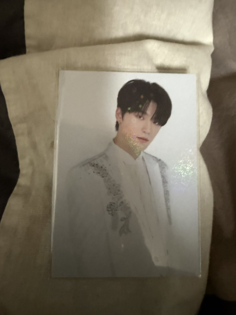 取引 YOU🍒🦌🐯🦊🐶🦖 tweet media