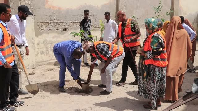 Banadir2024's tweet image. #Banadir_Community_Awakening
Today we officially donated and planted trees at the historic Hamarweyne School.
Environmental greening remains the top priority of #BCA #BBB 🌱
#green_Mogadishu