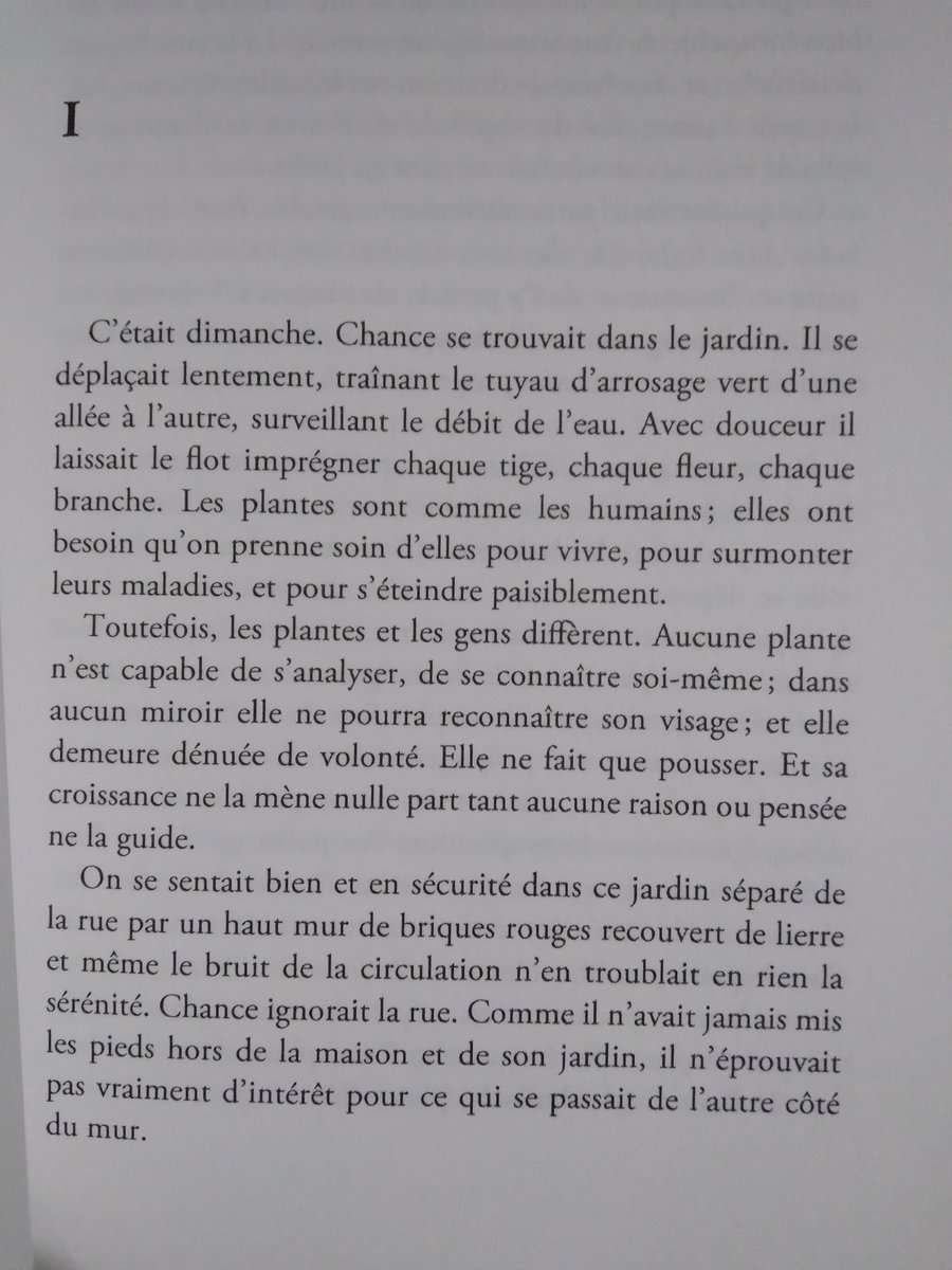 SchmittJeanTho1 tweet media