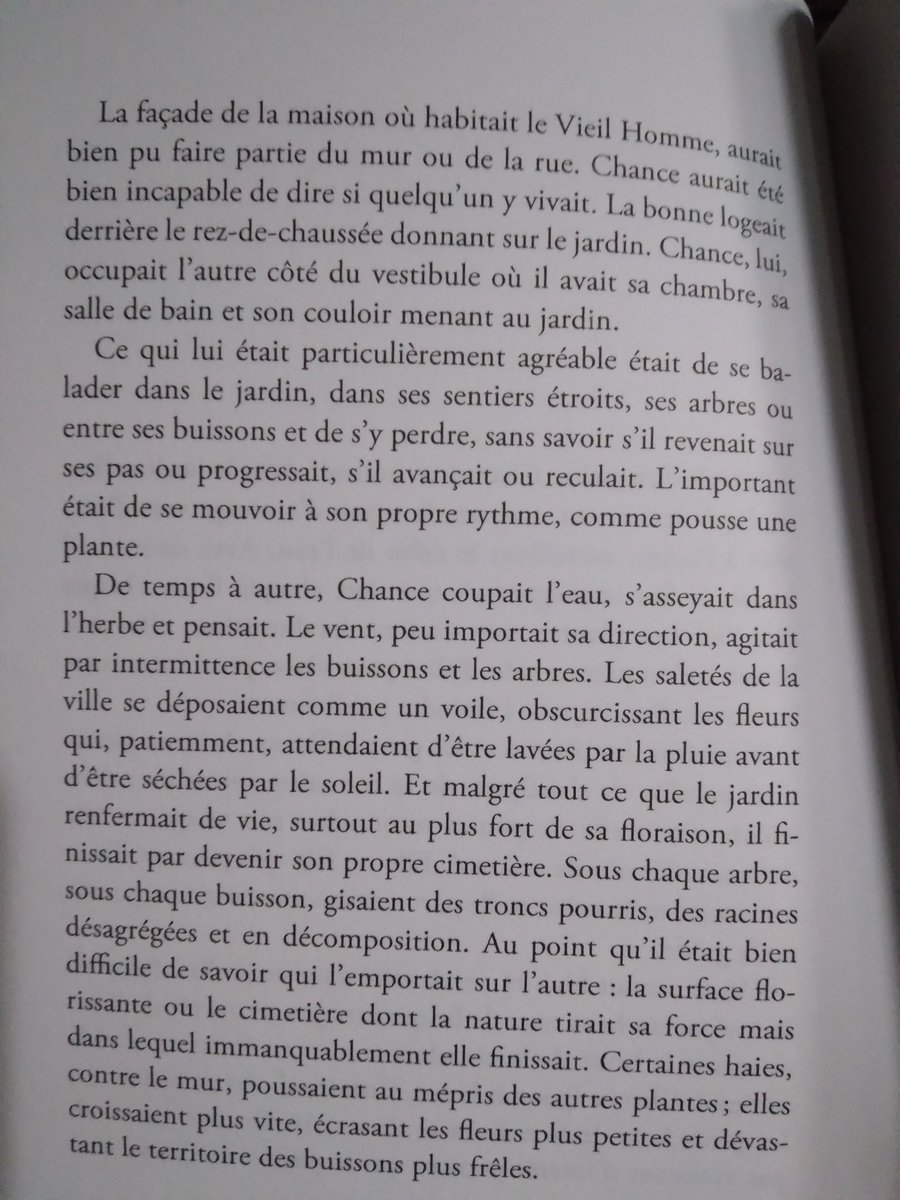 SchmittJeanTho1 tweet media