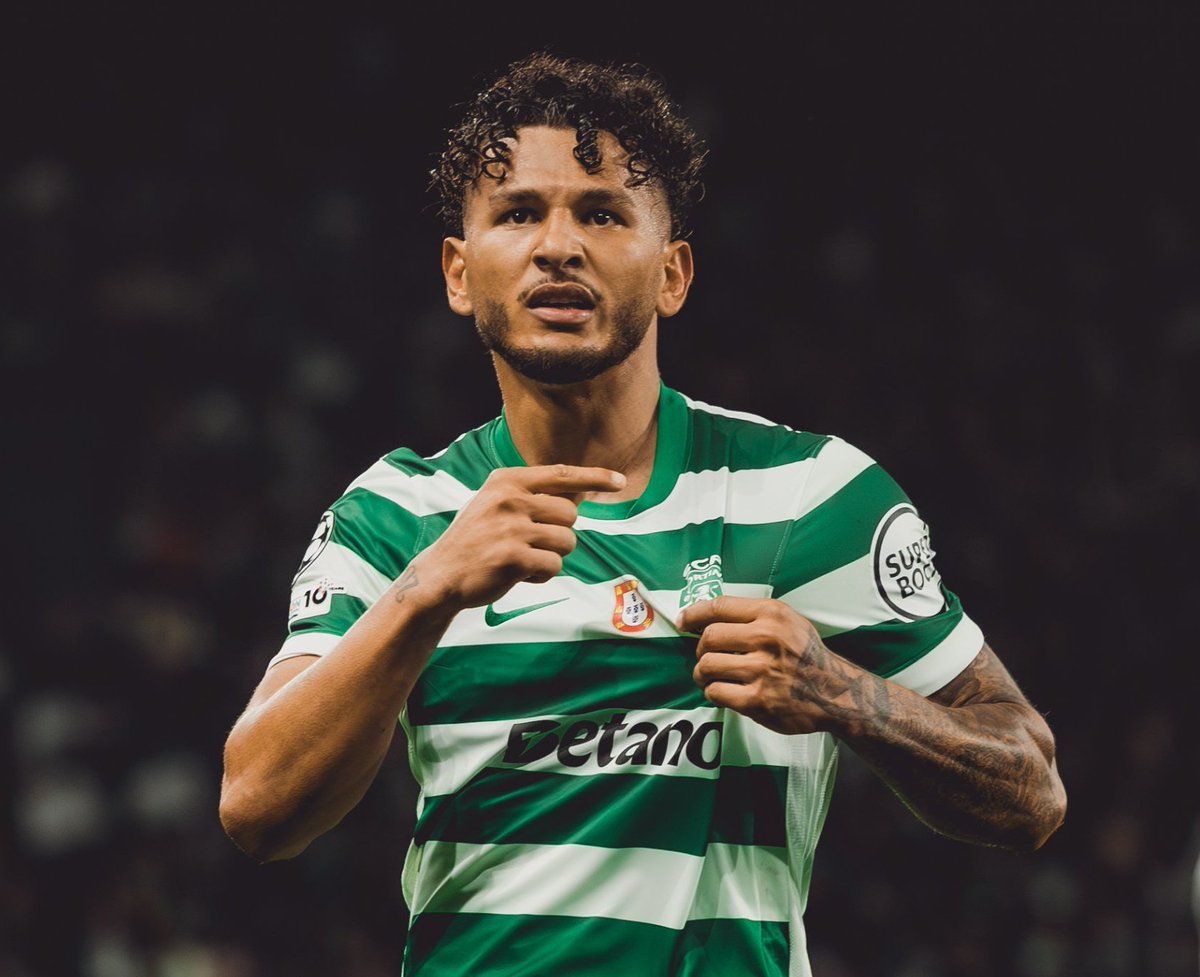 Sporting CP Pictures That Go Hard tweet media