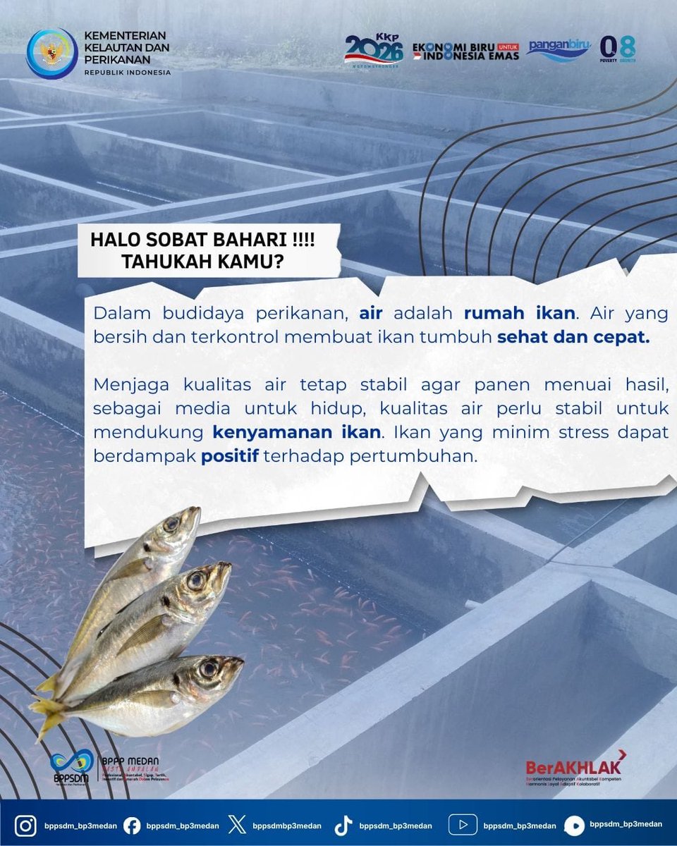 bpmkp_medan's tweet photo. BUDIDAYA IKAN DIMULAI DARI AIR YANG BAIK 💧🐟
Tahukah#sobatbahari "Apa yang tak terlihat, bukan berarti tidak ada."

Ikan bisa terlihat sehat, tapi kalau kualitas air buruk, pertumbuhan tetap lambat. https://t.co/r73o25OEn4