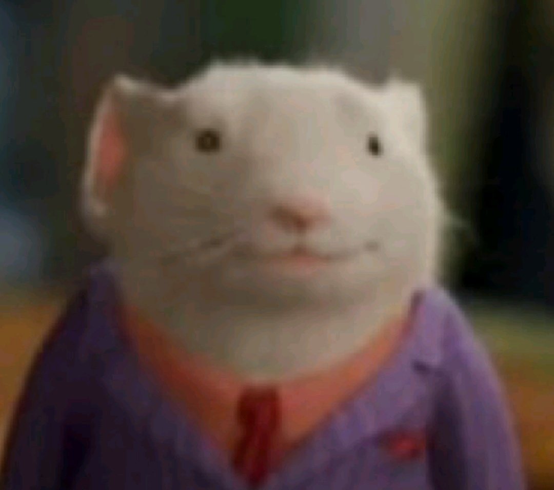 _cestcommeca's tweet image. no pude conseguir laburo antes de la reforma